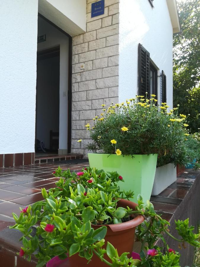 Apartments Eliva Umag Extérieur photo